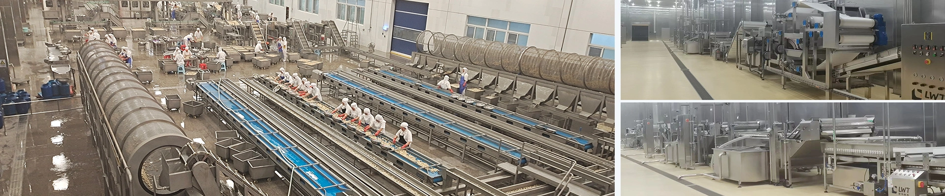 خط تعليب المشروم (خط إنتاج الفطر المعلبة)