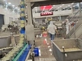ناقل مغناطيسي