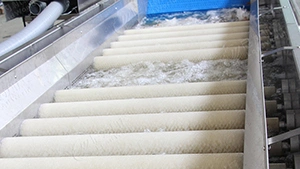 جهاز التنظيف بالفرش